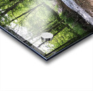 98FE13CE 825F 4D54 9BAF 96484FDA03C2 Acrylic print