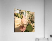 4F23C716 EC4C 4088 BDE3 E392D14304CD Acrylic Print