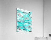 21EECB01 8765 42EB BB44 24ED633120B8 Acrylic Print