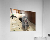 CED82A30 EC9C 4A67 950F 880C3A810FA9 Acrylic Print