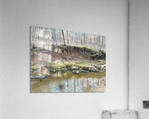 8D3B55C6 982D 4A05 A4E8 40277914F50C Acrylic Print