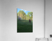 419FAC2D 7F14 403D AD16 C7AF74EDE89C Acrylic Print