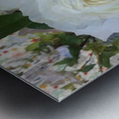 C04F7D9C 114C 413E 96C2 2282B360E461 Metal print