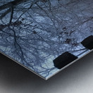 9ED766C3 ED1B 4B47 94A5 1756739BD025 Metal print