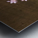 DA6C2393 A60F 43E0 98CD B853A7419173 Metal print