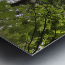 E5A1D5D7 F7D3 40D3 BA47 071C727454C0 Metal print