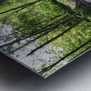 98FE13CE 825F 4D54 9BAF 96484FDA03C2 Metal print