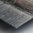 8D3B55C6 982D 4A05 A4E8 40277914F50C Metal print