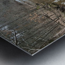 12243B56 739A 4B7A AF0A F21CFCB1917B Metal print