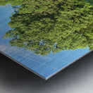 419FAC2D 7F14 403D AD16 C7AF74EDE89C Metal print