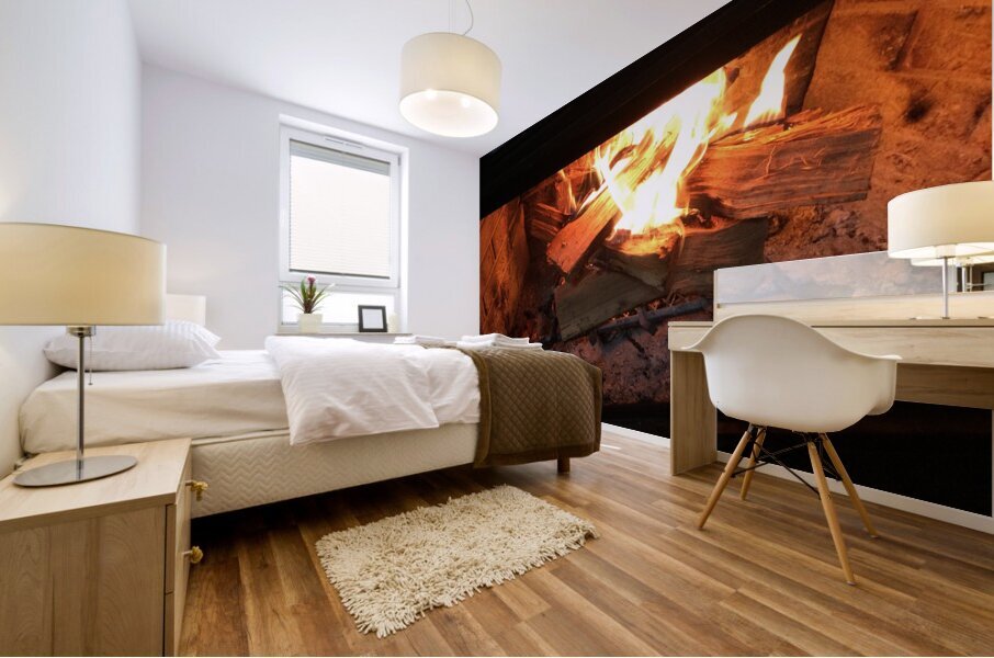 69FD78C5 6AE7 4946 86CB 455847FEC87C Mural print