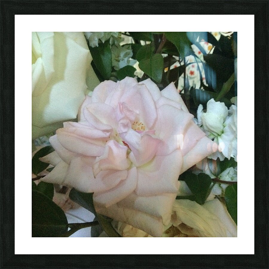 6CAD6156 6F76 4FD5 8652 4FA8ED2420E9 Picture Frame print