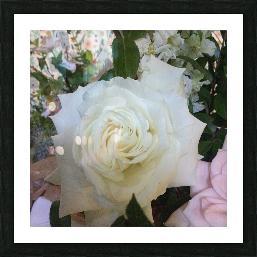 C04F7D9C 114C 413E 96C2 2282B360E461 Picture Frame print