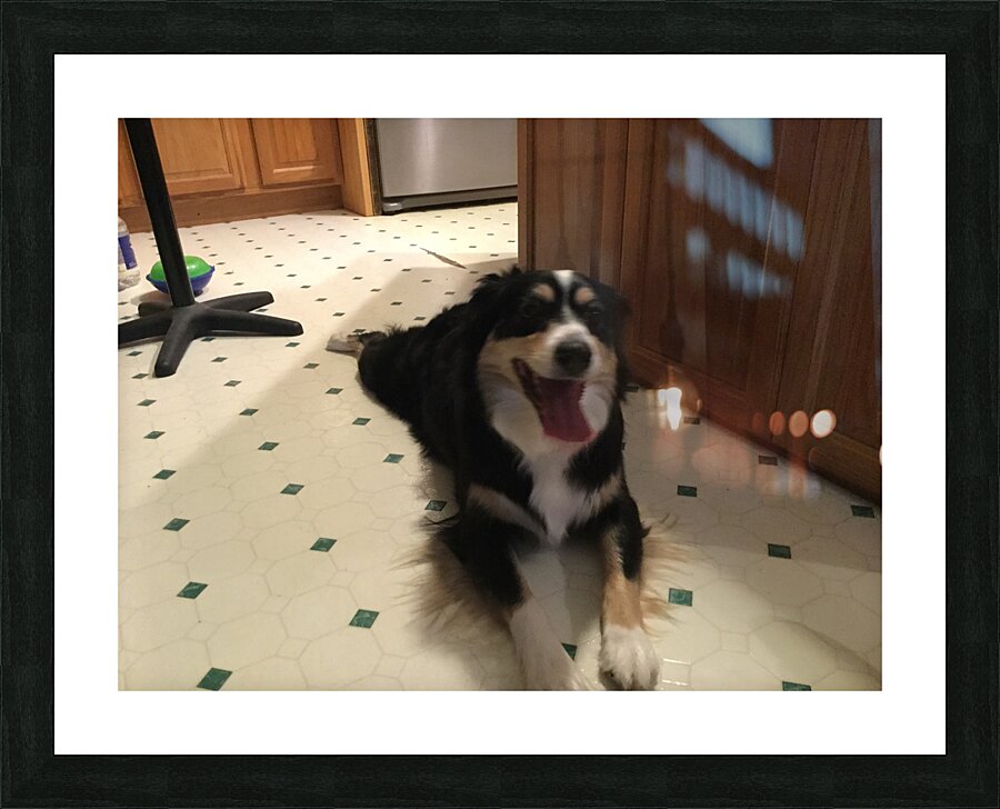 CED82A30 EC9C 4A67 950F 880C3A810FA9 Picture Frame print