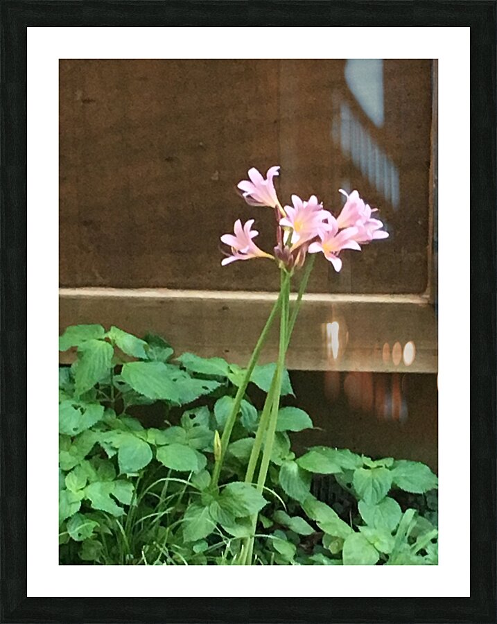 DA6C2393 A60F 43E0 98CD B853A7419173 Picture Frame print