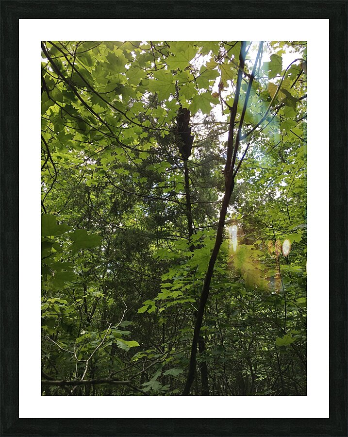 E5A1D5D7 F7D3 40D3 BA47 071C727454C0 Picture Frame print