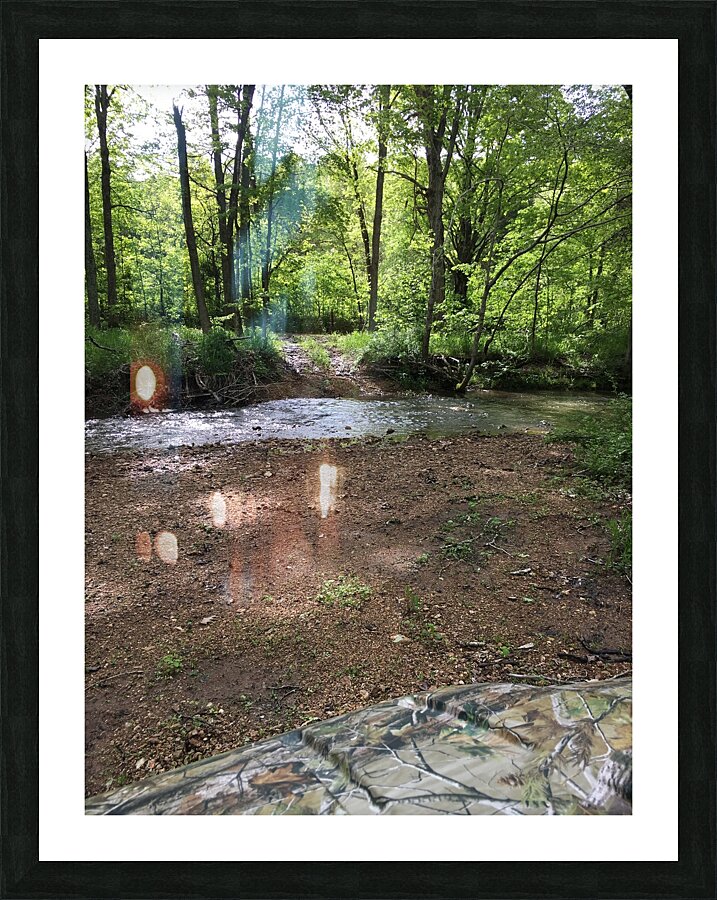 98FE13CE 825F 4D54 9BAF 96484FDA03C2 Picture Frame print