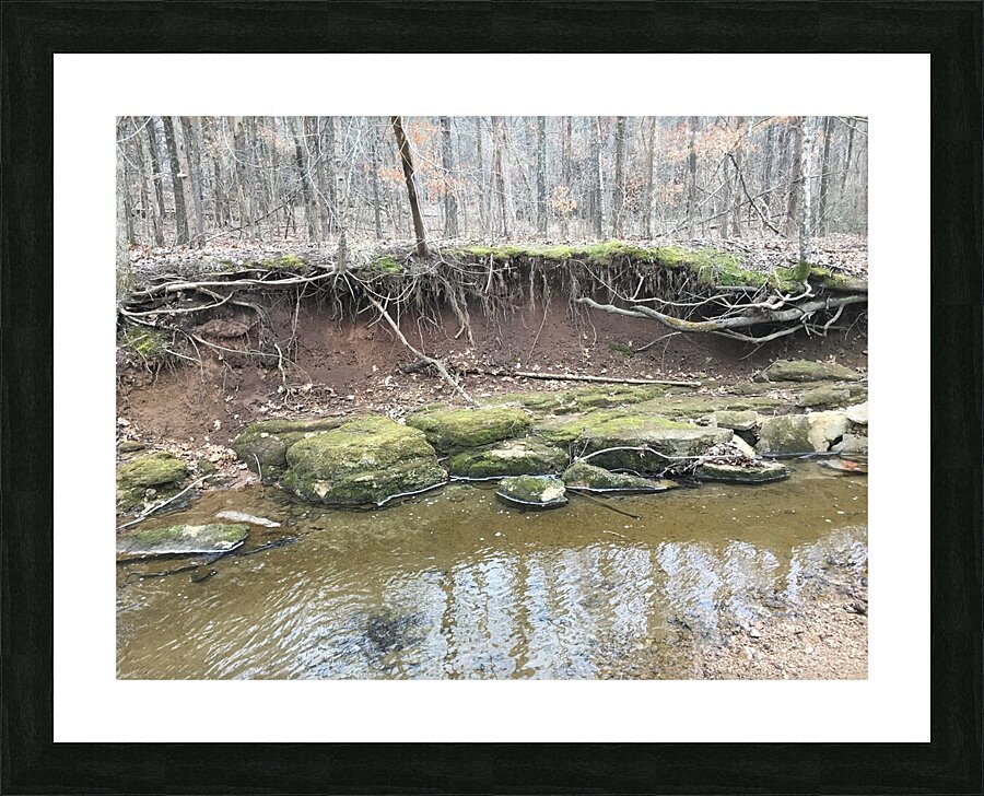 8D3B55C6 982D 4A05 A4E8 40277914F50C Picture Frame print