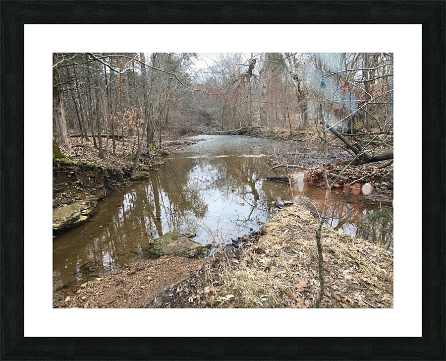 12243B56 739A 4B7A AF0A F21CFCB1917B Picture Frame print