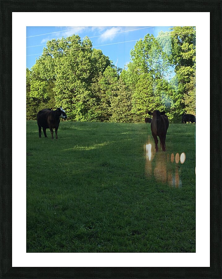 419FAC2D 7F14 403D AD16 C7AF74EDE89C Picture Frame print