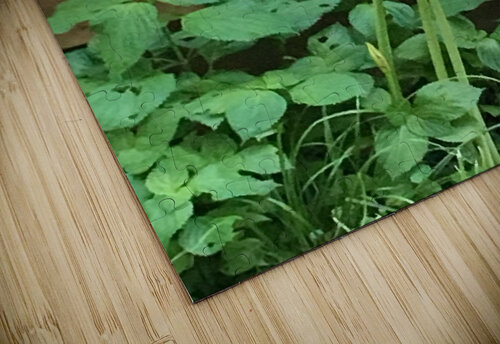 DA6C2393 A60F 43E0 98CD B853A7419173 BCreativeLori puzzle