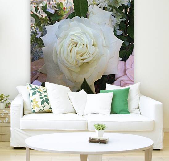 C04F7D9C 114C 413E 96C2 2282B360E461 Reproduction