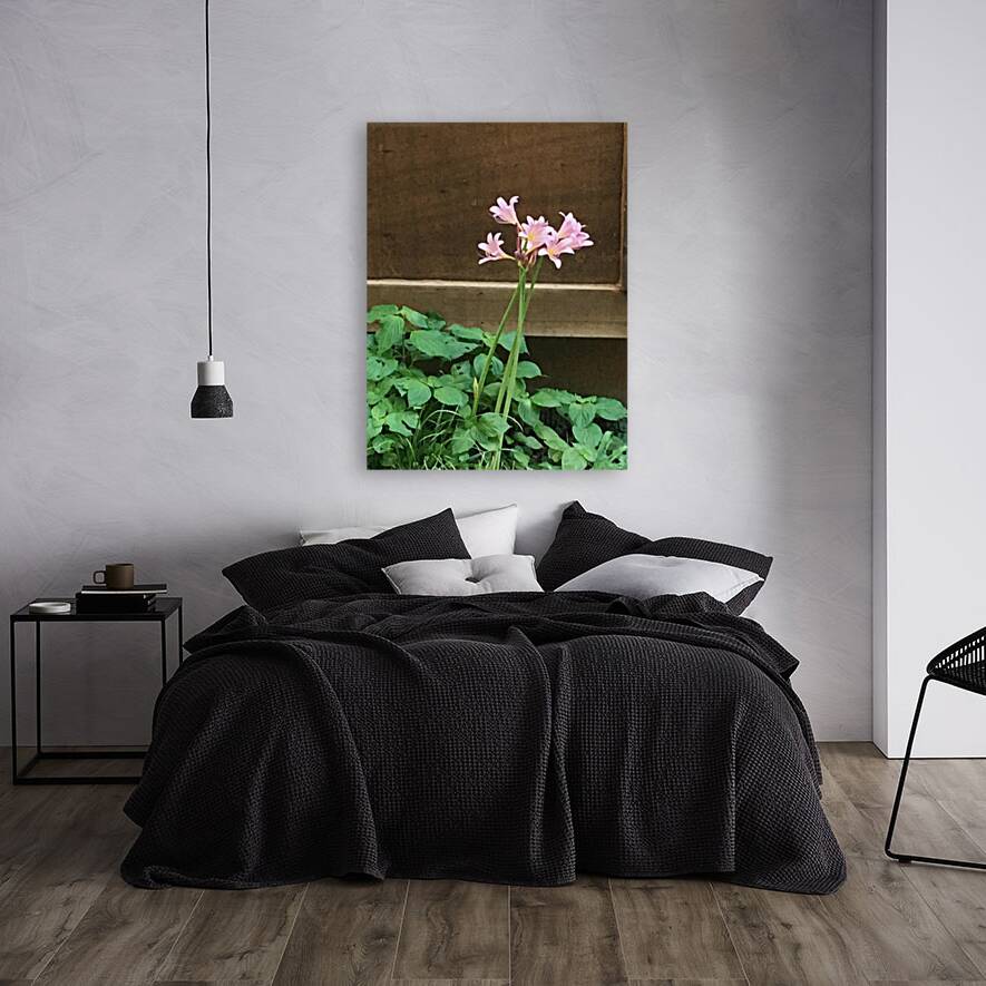 DA6C2393 A60F 43E0 98CD B853A7419173 Reproduction