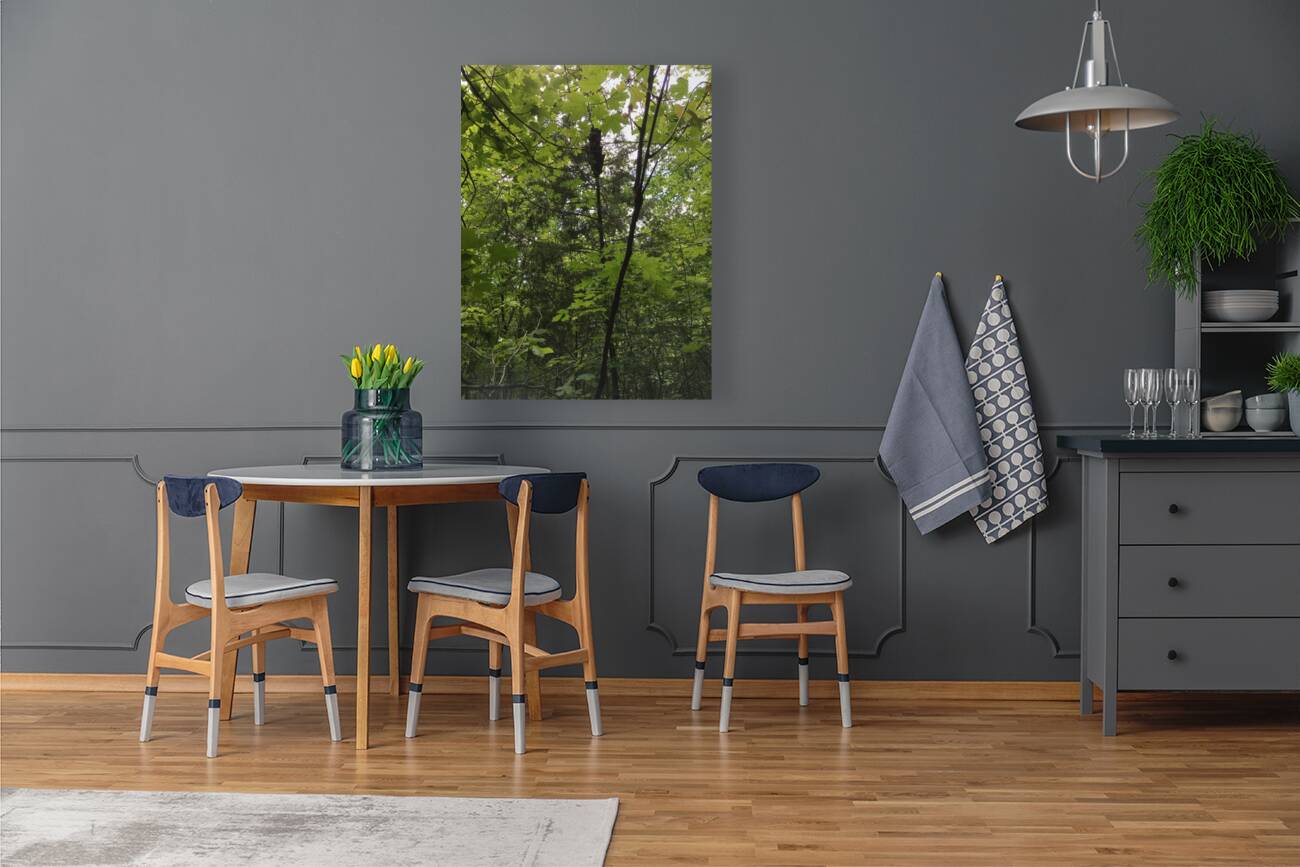 E5A1D5D7 F7D3 40D3 BA47 071C727454C0 Reproduction