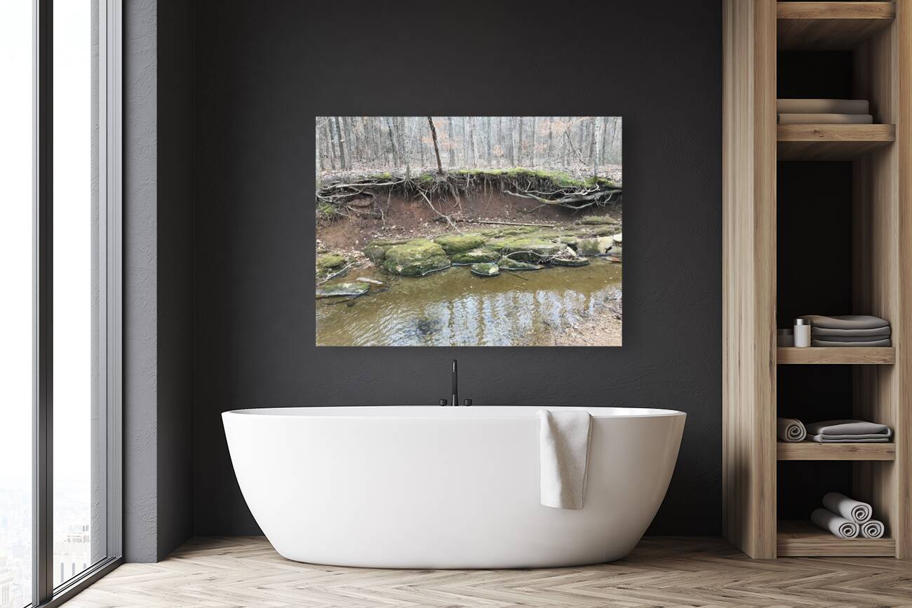 8D3B55C6 982D 4A05 A4E8 40277914F50C Reproduction