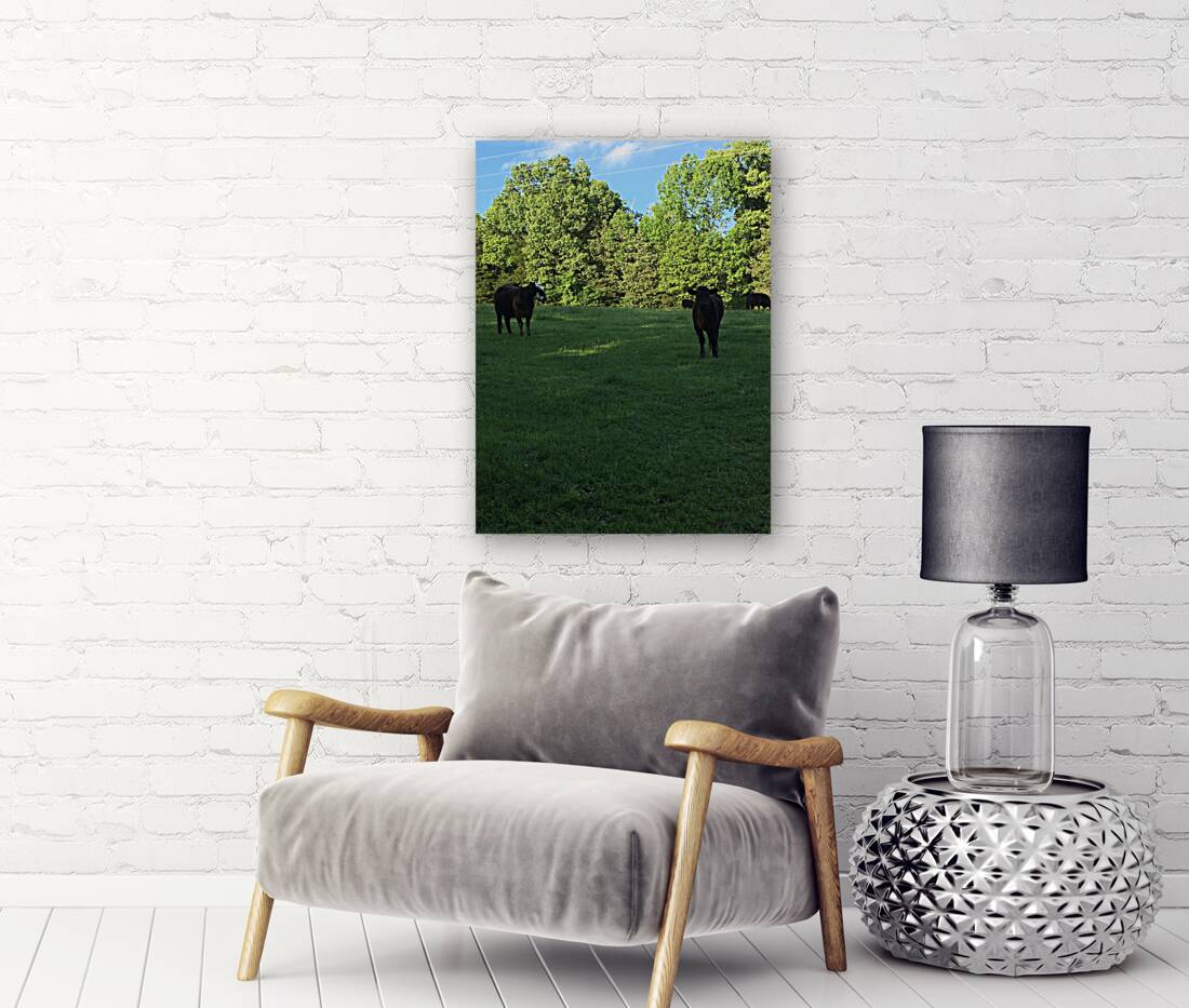 419FAC2D 7F14 403D AD16 C7AF74EDE89C Reproduction