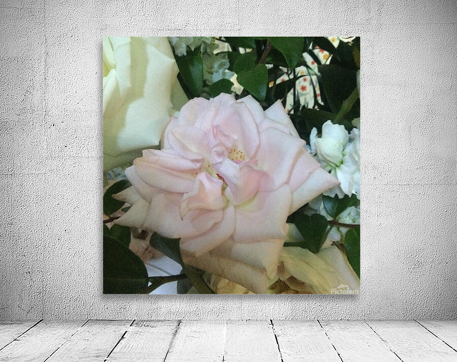 6CAD6156 6F76 4FD5 8652 4FA8ED2420E9 Wall Preview