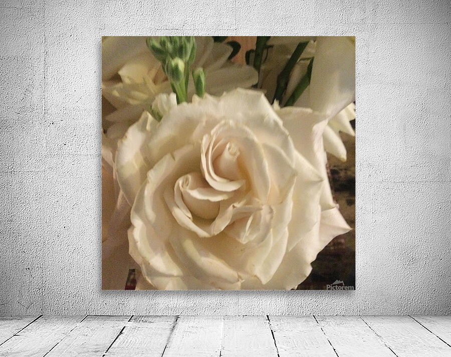 EFA3812E 008C 4A0B AA1B 55AE6E697AAC Wall Preview