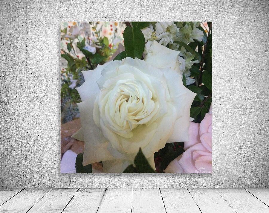 C04F7D9C 114C 413E 96C2 2282B360E461 Wall Preview