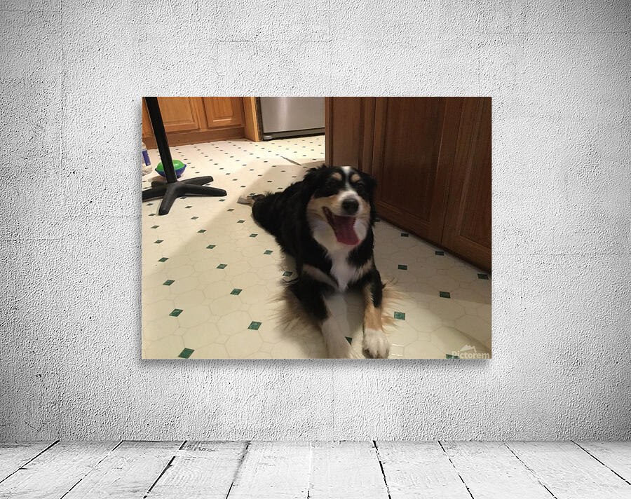 CED82A30 EC9C 4A67 950F 880C3A810FA9 Wall Preview