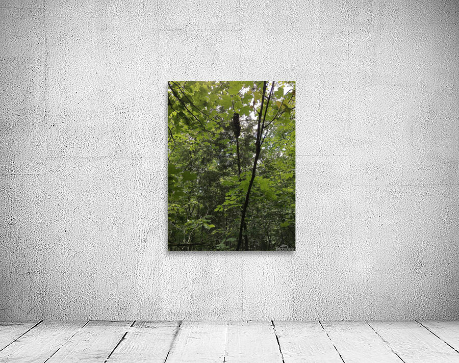 E5A1D5D7 F7D3 40D3 BA47 071C727454C0 Wall Preview