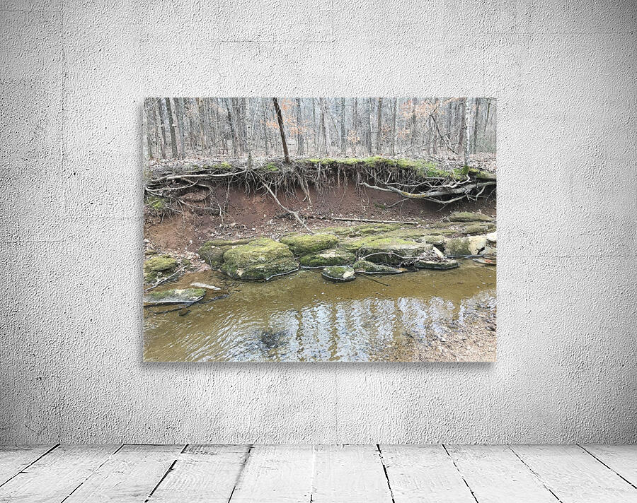 8D3B55C6 982D 4A05 A4E8 40277914F50C Wall Preview