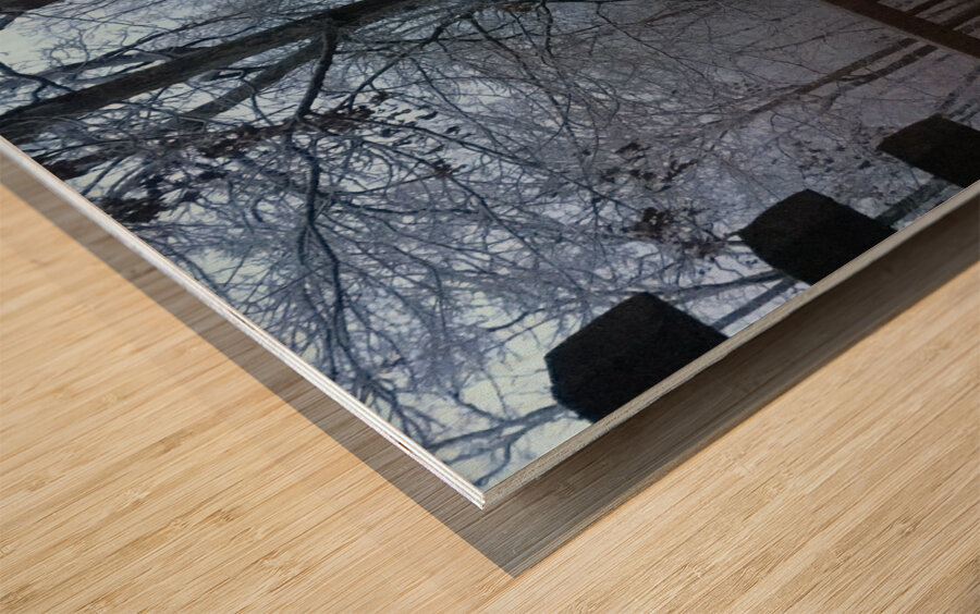 9ED766C3 ED1B 4B47 94A5 1756739BD025 Wood print