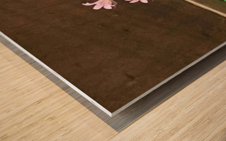 DA6C2393 A60F 43E0 98CD B853A7419173 Wood print