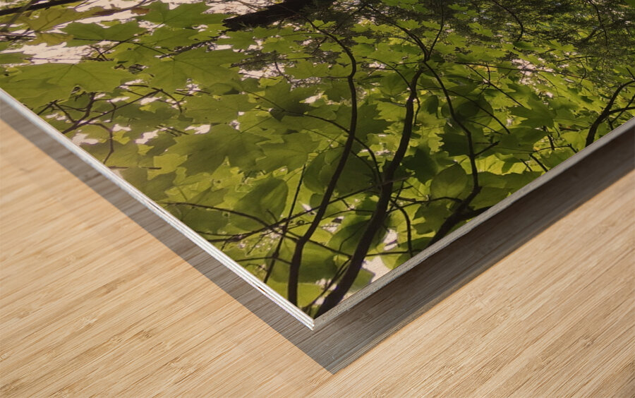 E5A1D5D7 F7D3 40D3 BA47 071C727454C0 Wood print