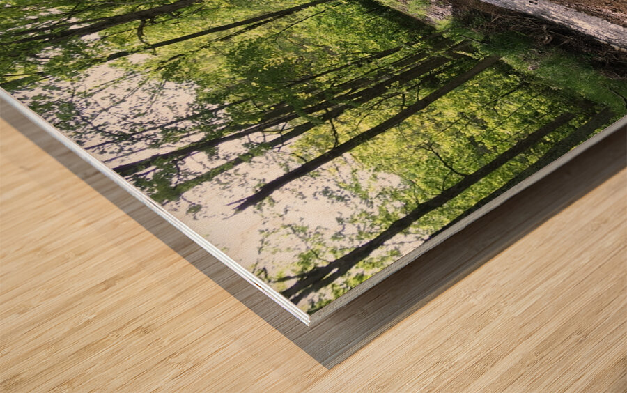 98FE13CE 825F 4D54 9BAF 96484FDA03C2 Wood print