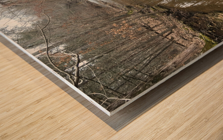 12243B56 739A 4B7A AF0A F21CFCB1917B Wood print