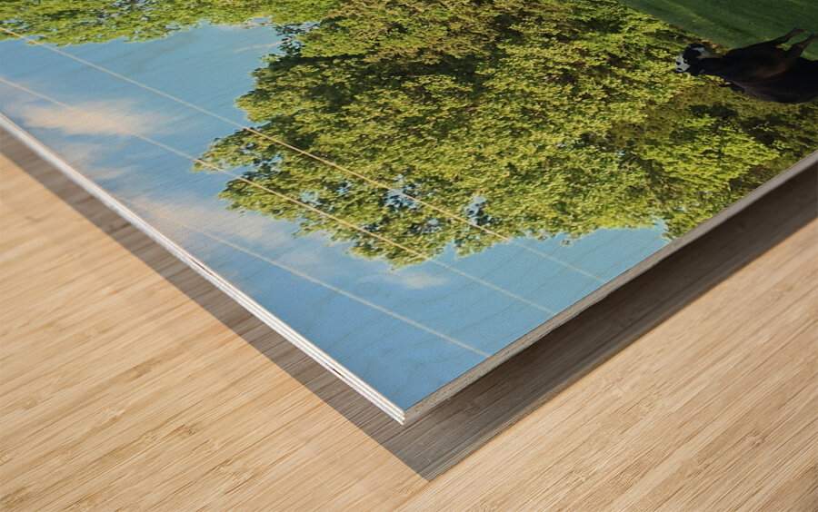 419FAC2D 7F14 403D AD16 C7AF74EDE89C Wood print