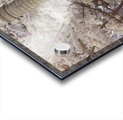 Cherry Blossom Statue Acrylic print