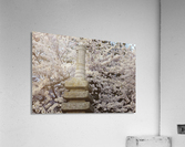 Cherry Blossom Statue Acrylic Print