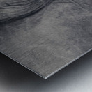 Elephant Eyes Metal print