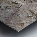 Cherry Blossom Statue Metal print