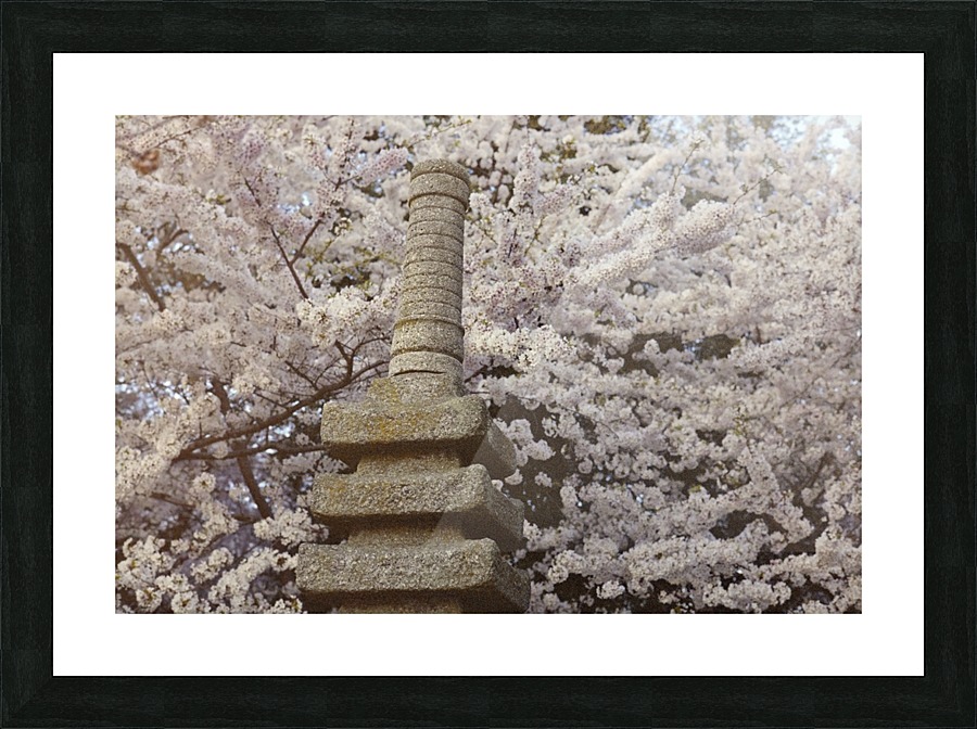 Cherry Blossom Statue Picture Frame print