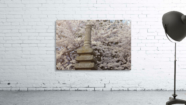 Cherry Blossom Statue Wall Preview