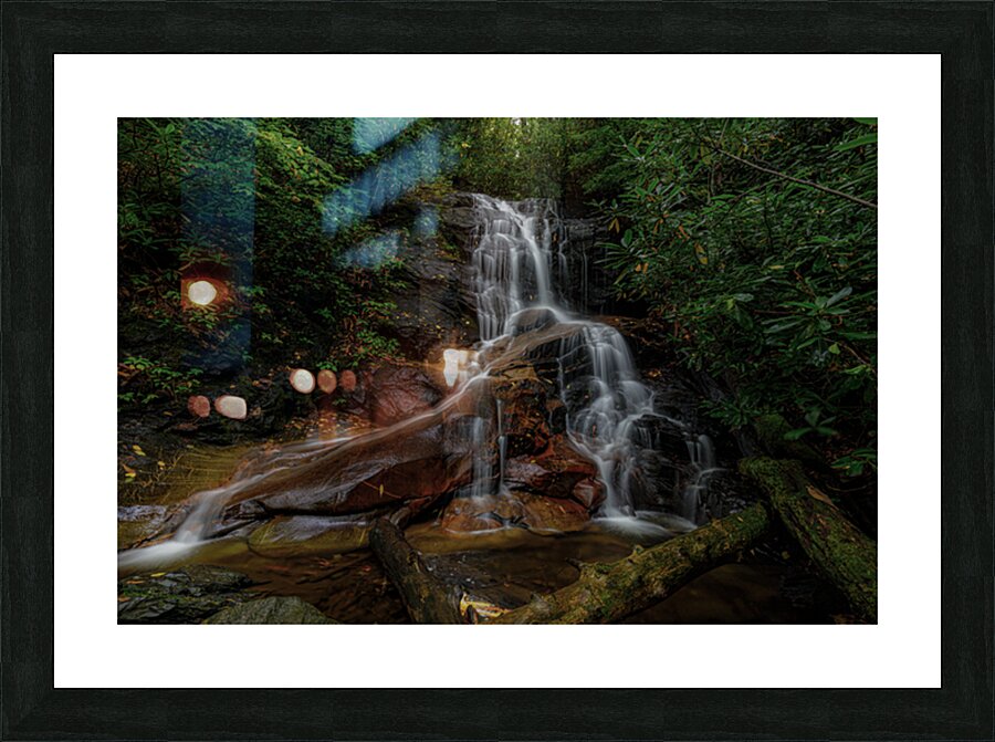 Log Hollow Falls Picture Frame print