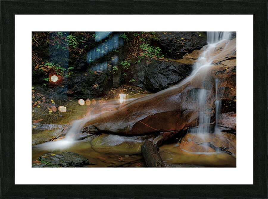 Log Hollow Falls Picture Frame print